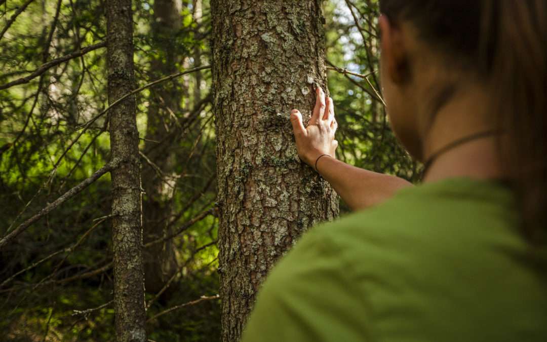 Yoga & Nature Immersion