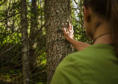 Yoga & Nature Immersion